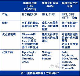 集群在存儲領域的應用 數據處理與存儲支持服務