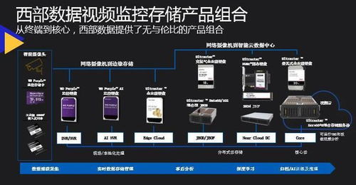 西部數(shù)據(jù)孫煜 AI安防與存儲的變革丨AI安防峰會深度解讀